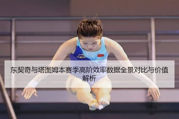 东契奇与塔图姆本赛季高阶效率数据全景对比与价值解析